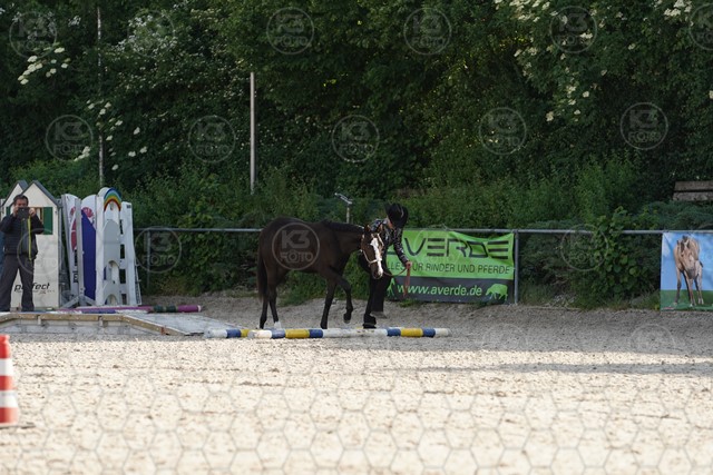 sA9K07156.JPG